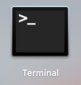 terminal